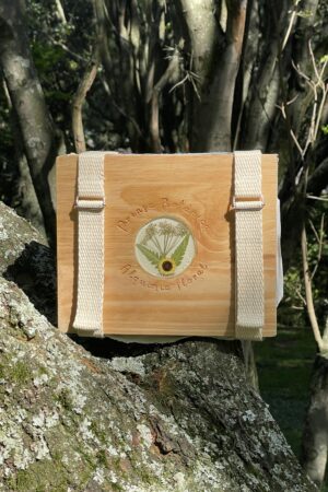 Prensa Aventurera: imagen 2