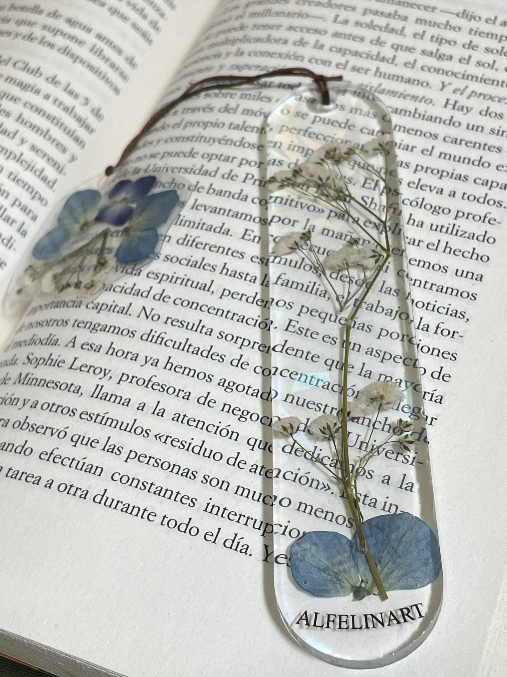 Separador Invierno: imagen 1