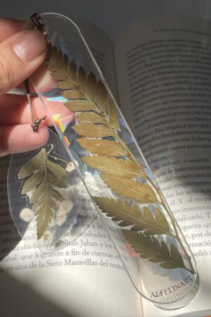 Separador Verano: imagen 3