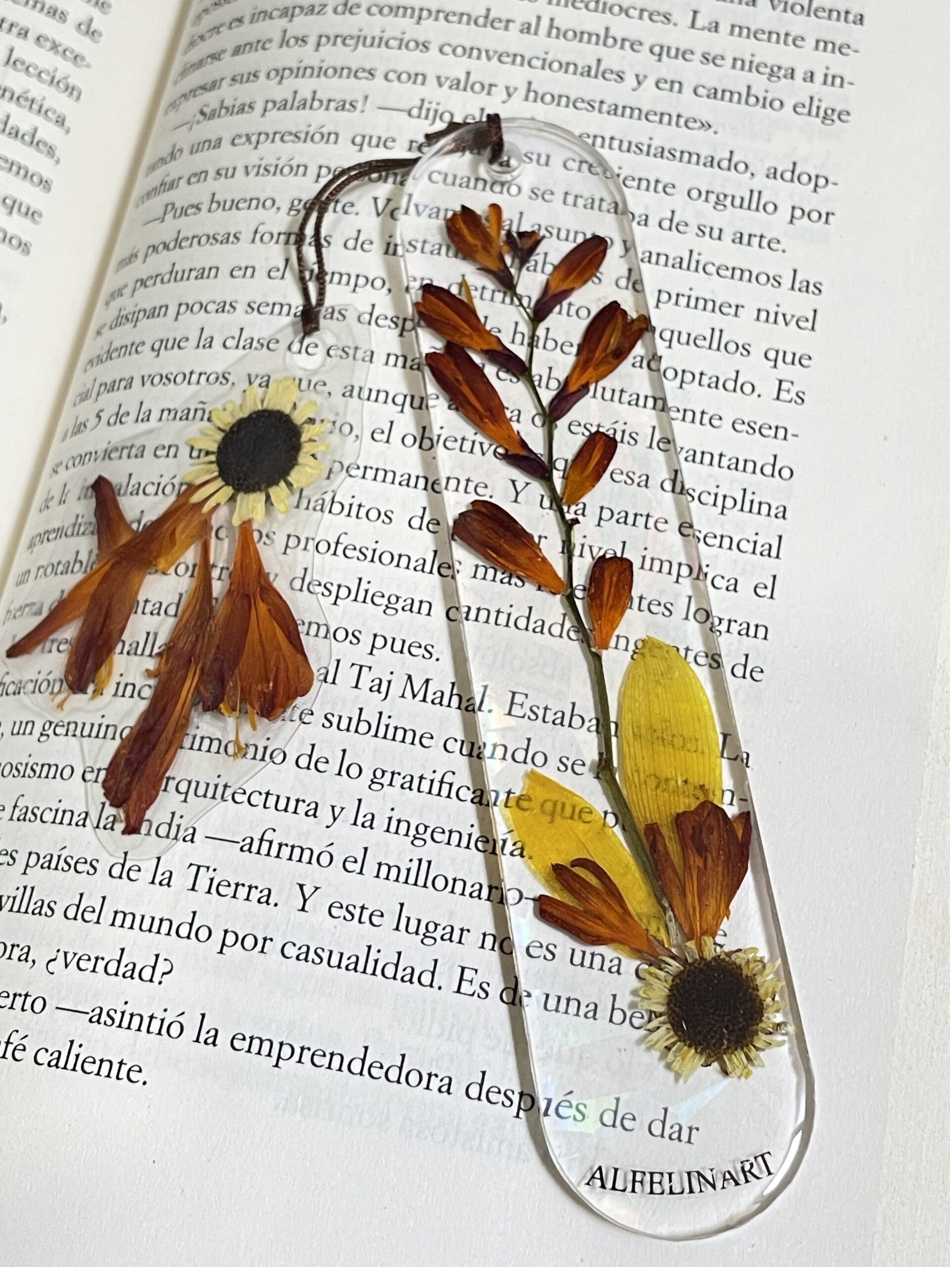 Separador Verano: imagen 1