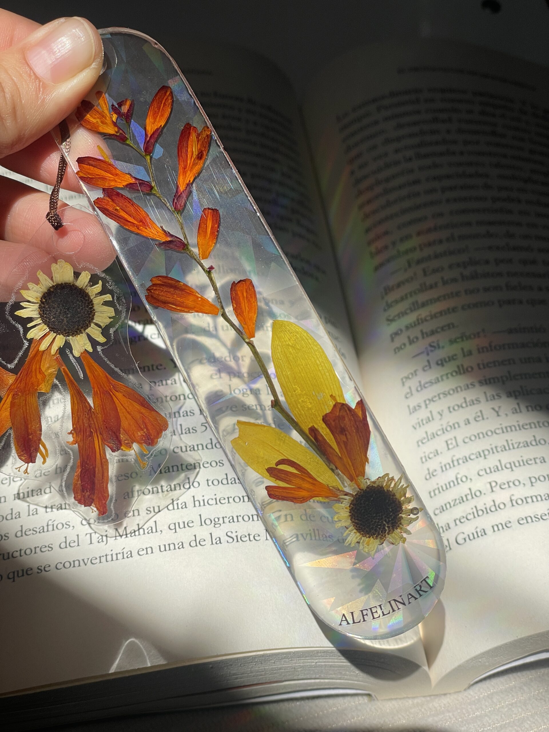 Separador Verano: imagen 3