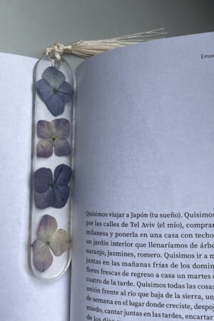 Separador Invierno: imagen 1