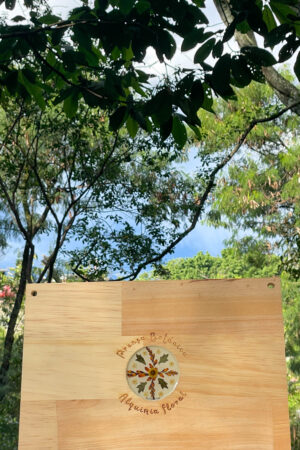 Prensa Experta: imagen 4