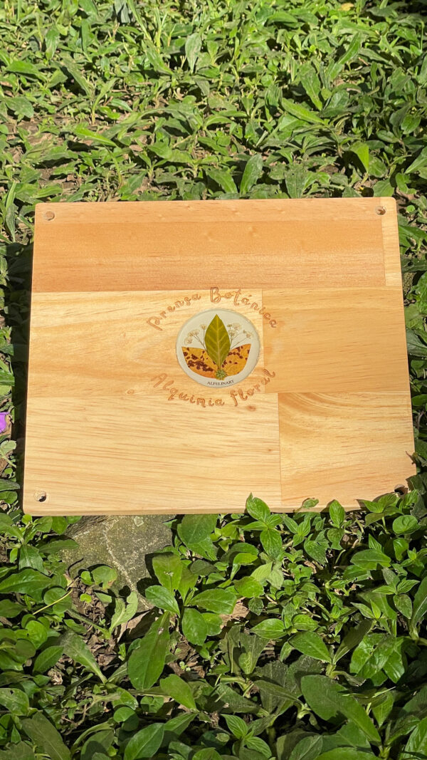 Prensa Expedicionaria