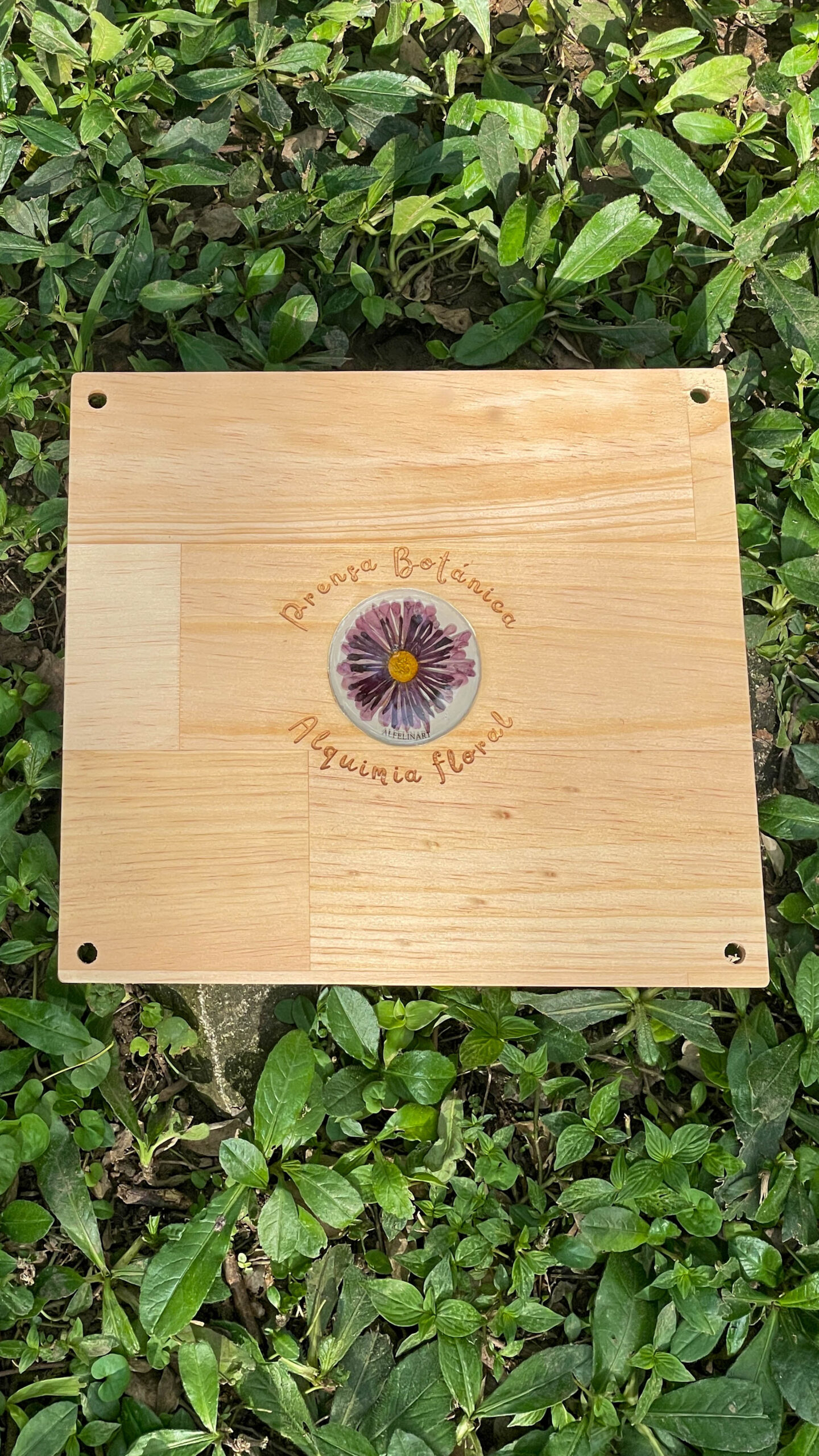 Prensa Expedicionaria: imagen 4