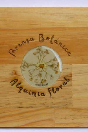 Prensa Aventurera: imagen 11